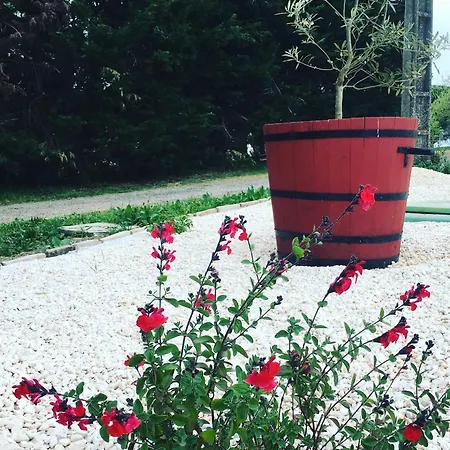 Des Moulins Сasa de vacaciones Castelnau-dʼEstrétefonds