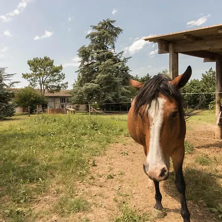 Ferienhaus Des Moulins Castelnau-dʼEstrétefonds