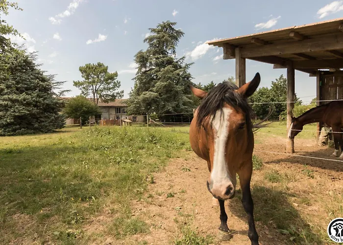 Дом отдыха Des Moulins Кастельно-д’Эстретефон